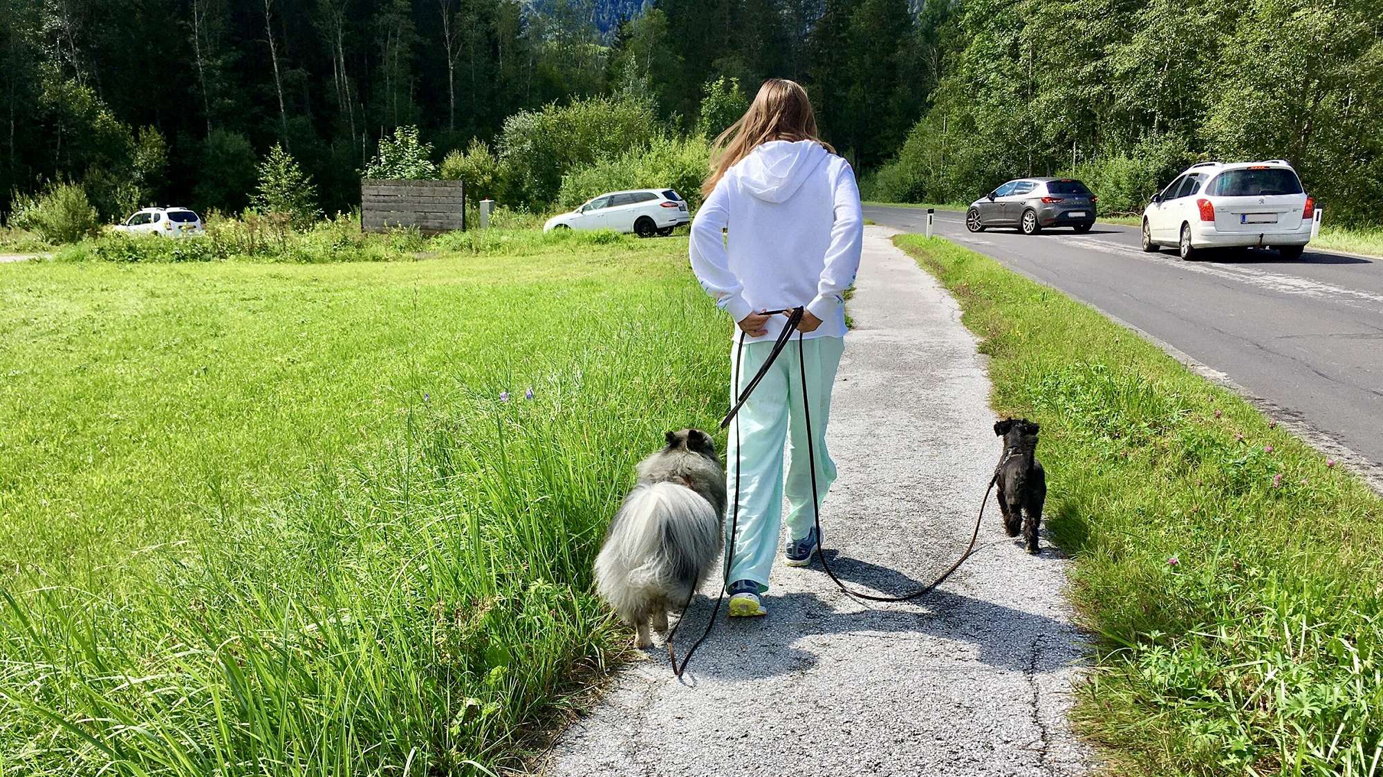 3. Lisa mit Leine o. Autonummern Eine Person geht mit zwei Hunden am Straßenrand spazieren, im Hintergrund sind Autos vorbeifahren und Bäume zu sehen. Sie sind auf dem Weg zur Welpenschule, um „Sitz lernen“ zu üben.
